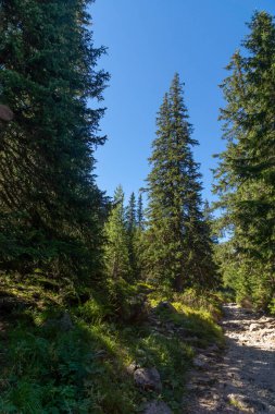 Malyovitsa zirvesi, Rila Dağı, Bulgaristan 'ın yürüyüş parkurundan manzara