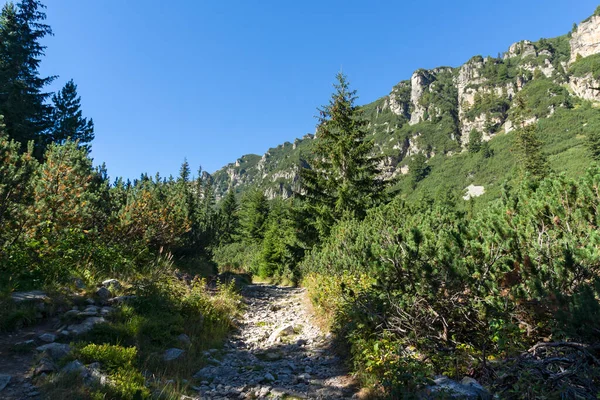 Landschaft Vom Wanderweg Zum Maljovitsa Gipfel Rila Gebirge Bulgarien — Stockfoto