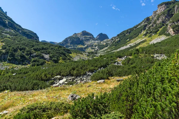 Niesamowity Letni Krajobraz Szczytu Malyovitsa Góra Rila Bułgaria — Zdjęcie stockowe