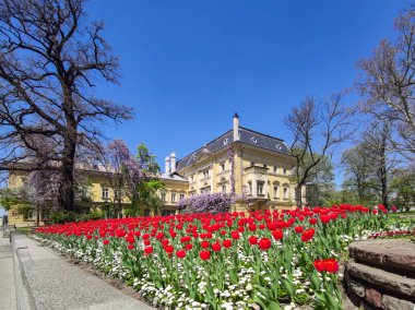 SOFYA, BULGARIA - 24 Nisan 2020: Ulusal Sanat Galerisi 'nin (eski Kraliyet Sarayı) bahar manzarası, Sofya, Bulgaristan