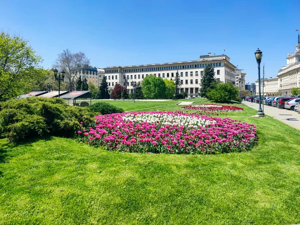 Sofia Bulgaria Huhtikuu 2020 Kevätnäkymä Kaupungin Puutarhaan Bulgarian Keskuspankin Rakentamiseen — kuvapankkivalokuva