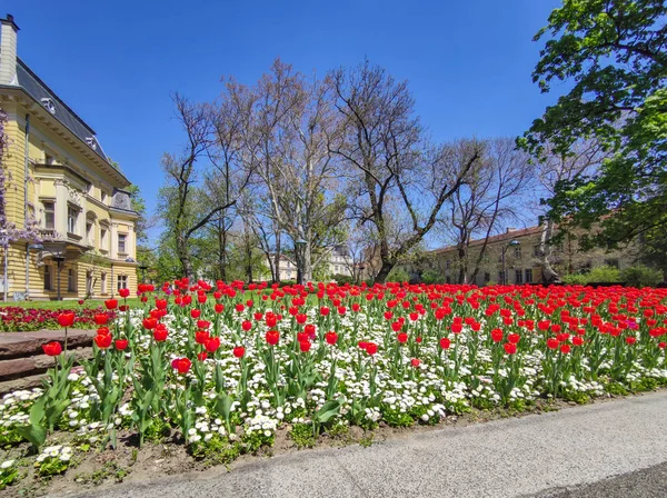 Sofia Bulgaria Abril 2020 Vista Primavera Galería Nacional Arte Antiguo — Foto de Stock