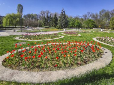 Bulgaristan 'ın Sofya kentindeki South Park' ın bahar manzarası