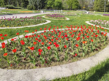 Bulgaristan 'ın Sofya kentindeki South Park' ın bahar manzarası