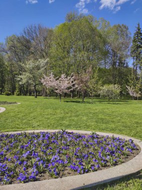 Bulgaristan 'ın Sofya kentindeki South Park' ın bahar manzarası