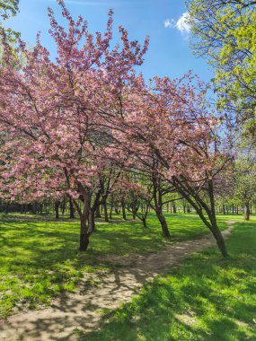 Bulgaristan 'ın Sofya kentindeki South Park' ın bahar manzarası