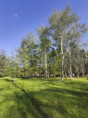 Bulgaristan 'ın Sofya kentindeki South Park' ın bahar manzarası