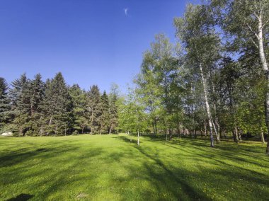 Bulgaristan 'ın Sofya kentindeki South Park' ın bahar manzarası