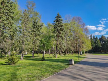 Bulgaristan 'ın Sofya kentindeki South Park' ın bahar manzarası