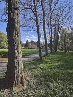 Bulgaristan 'ın Sofya kentindeki South Park' ın bahar manzarası