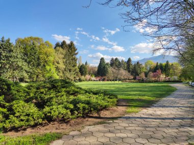 Bulgaristan 'ın Sofya kentindeki South Park' ın bahar manzarası