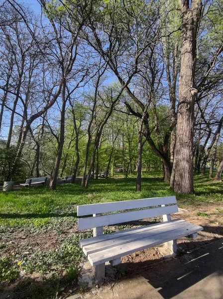 Spring View South Park City Sofia Bulgaria — Stock Photo, Image