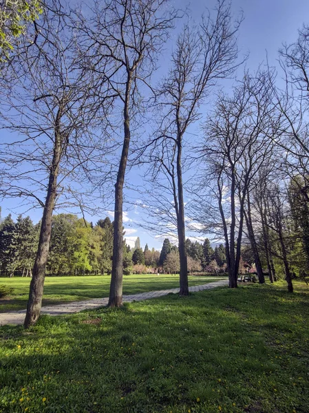 ブルガリア ソフィア市の南公園の春景色 — ストック写真