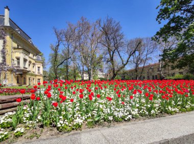 SOFYA, BULGARIA - 24 Nisan 2020: Ulusal Sanat Galerisi 'nin (eski Kraliyet Sarayı) bahar manzarası, Sofya, Bulgaristan