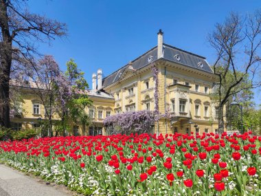 SOFYA, BULGARIA - 24 Nisan 2020: Ulusal Sanat Galerisi 'nin (eski Kraliyet Sarayı) bahar manzarası, Sofya, Bulgaristan