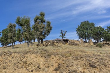 Bulgaristan 'ın Blagoevgrad bölgesindeki Ograzhden Dağı Yaz Manzarası