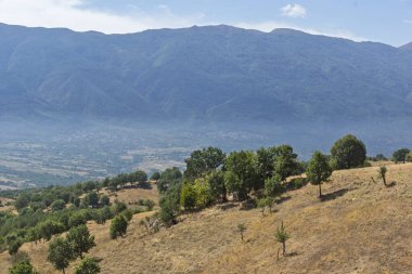 Bulgaristan 'ın Blagoevgrad bölgesindeki Ograzhden Dağı Yaz Manzarası