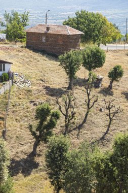 Bulgaristan 'ın Blagoevgrad bölgesindeki Ograzhden Dağı Yaz Manzarası