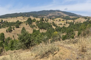 Bulgaristan 'ın Blagoevgrad bölgesindeki Ograzhden Dağı Yaz Manzarası