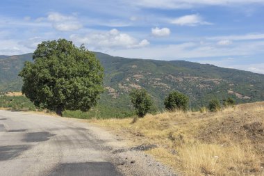 Bulgaristan 'ın Blagoevgrad bölgesindeki Ograzhden Dağı Yaz Manzarası