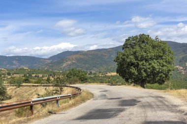 Bulgaristan 'ın Blagoevgrad bölgesindeki Ograzhden Dağı Yaz Manzarası