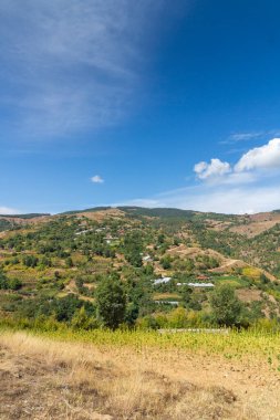 Bulgaristan 'ın Blagoevgrad bölgesindeki Ograzhden Dağı Yaz Manzarası