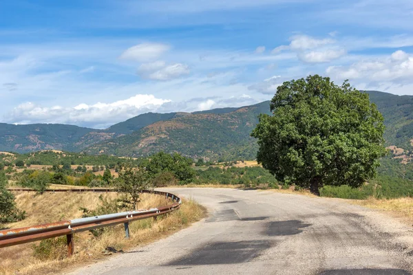 Paisaje Verano Montaña Ograzhden Región Blagoevgrad Bulgaria — Foto de Stock