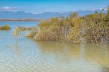 Koprinka Reservoir Panoraması, Stara Zagora Bölgesi, Bulgaristan