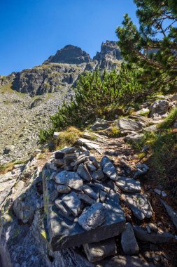 Malyovitsa zirvesi, Rila Dağı, Bulgaristan 'ın yürüyüş parkurundan manzara