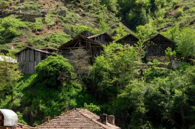 PIRIN, BULGARIA - 2 Mayıs 2014: Bulgaristan 'ın Blagoevgrad bölgesindeki Pirin köyünde 19. yüzyıldan kalma eski evler