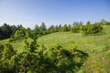 Kızıl Duvar Tepesi 'nden Rodop Dağları, Filibe Bölgesi, Bulgaristan' a inanılmaz manzara
