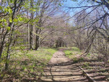 Bahar manzarası Vitosha Dağı, Sofya Şehir Bölgesi, Bulgaristan
