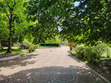 SOFYA, BULGARIA - 5 Mayıs 2020: Bulgaristan 'ın başkenti Sofya' daki Banski Meydanı