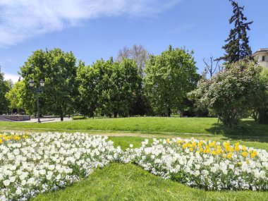 SOFYA, BULGARIA -5 Mayıs 2020: Bulgaristan 'ın Sofya kentindeki İvan Vazov Ulusal Tiyatrosu' nun önüne park et