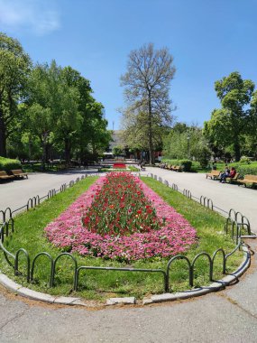 SOFYA, BULGARIA -5 Mayıs 2020: Bulgaristan 'ın Sofya kentindeki İvan Vazov Ulusal Tiyatrosu' nun önüne park et