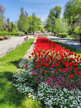 SOFYA, BULGARIA -5 Mayıs 2020: Bulgaristan 'ın Sofya kentindeki İvan Vazov Ulusal Tiyatrosu' nun önüne park et