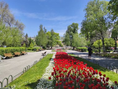 SOFYA, BULGARIA -5 Mayıs 2020: Bulgaristan 'ın Sofya kentindeki İvan Vazov Ulusal Tiyatrosu' nun önüne park et