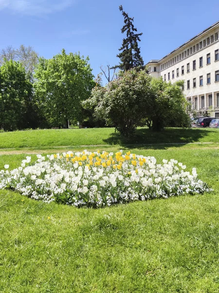 Sofia Bulgaria Mayo 2020 Parque Frente Teatro Nacional Ivan Vazov — Foto de Stock