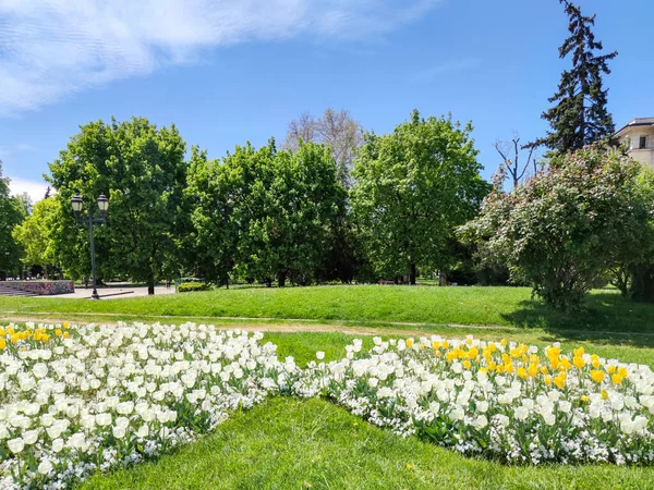 SOFYA, BULGARIA -5 Mayıs 2020: Bulgaristan 'ın Sofya kentindeki İvan Vazov Ulusal Tiyatrosu' nun önüne park et