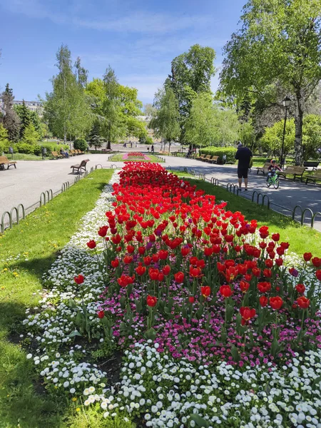 Sofia Bulgaria May 2020 Парк Перед Национальным Театром Ивана Вазова — стоковое фото