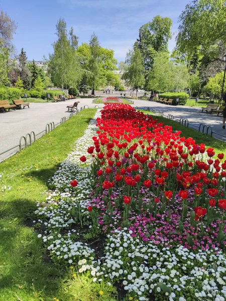 Sofia Bulgaria May 2020 Парк Перед Национальным Театром Ивана Вазова — стоковое фото