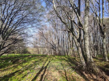 Bulgaristan 'ın Sofya Şehir Bölgesi' ndeki Vitosha Dağı 'nın şaşırtıcı bahar manzarası