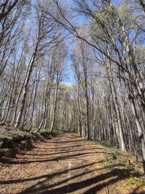 Bulgaristan 'ın Sofya Şehir Bölgesi' ndeki Vitosha Dağı 'nın şaşırtıcı bahar manzarası