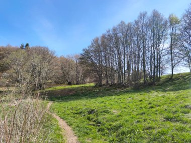 Bulgaristan 'ın Sofya Şehir Bölgesi' ndeki Vitosha Dağı 'nın şaşırtıcı bahar manzarası