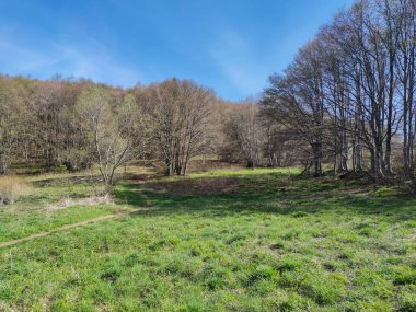 Bulgaristan 'ın Sofya Şehir Bölgesi' ndeki Vitosha Dağı 'nın şaşırtıcı bahar manzarası
