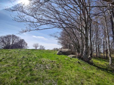 Bulgaristan 'ın Sofya Şehir Bölgesi' ndeki Vitosha Dağı 'nın şaşırtıcı bahar manzarası