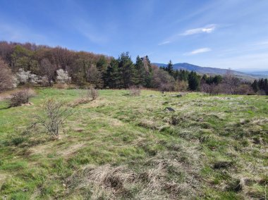 Bulgaristan 'ın Sofya Şehir Bölgesi' ndeki Vitosha Dağı 'nın şaşırtıcı bahar manzarası