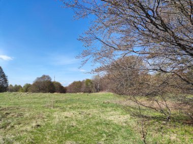 Bulgaristan 'ın Sofya Şehir Bölgesi' ndeki Vitosha Dağı 'nın şaşırtıcı bahar manzarası
