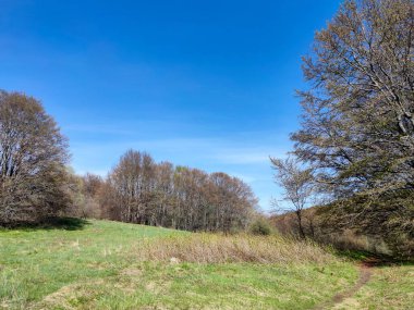 Bulgaristan 'ın Sofya Şehir Bölgesi' ndeki Vitosha Dağı 'nın şaşırtıcı bahar manzarası