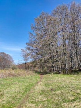 Bulgaristan 'ın Sofya Şehir Bölgesi' ndeki Vitosha Dağı 'nın şaşırtıcı bahar manzarası